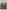 Inside the Mists of Time